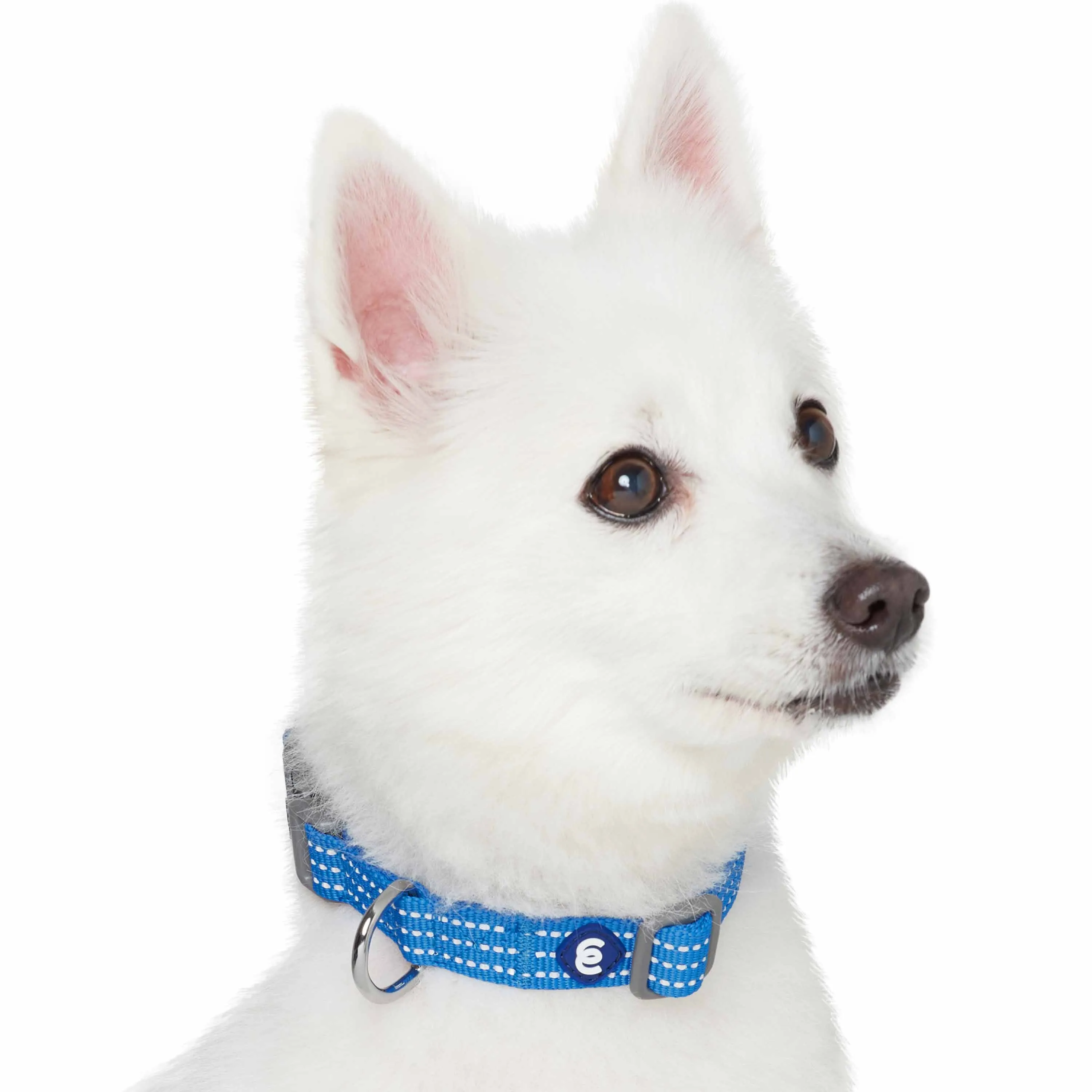 Better Basics Reflective Dog Collar