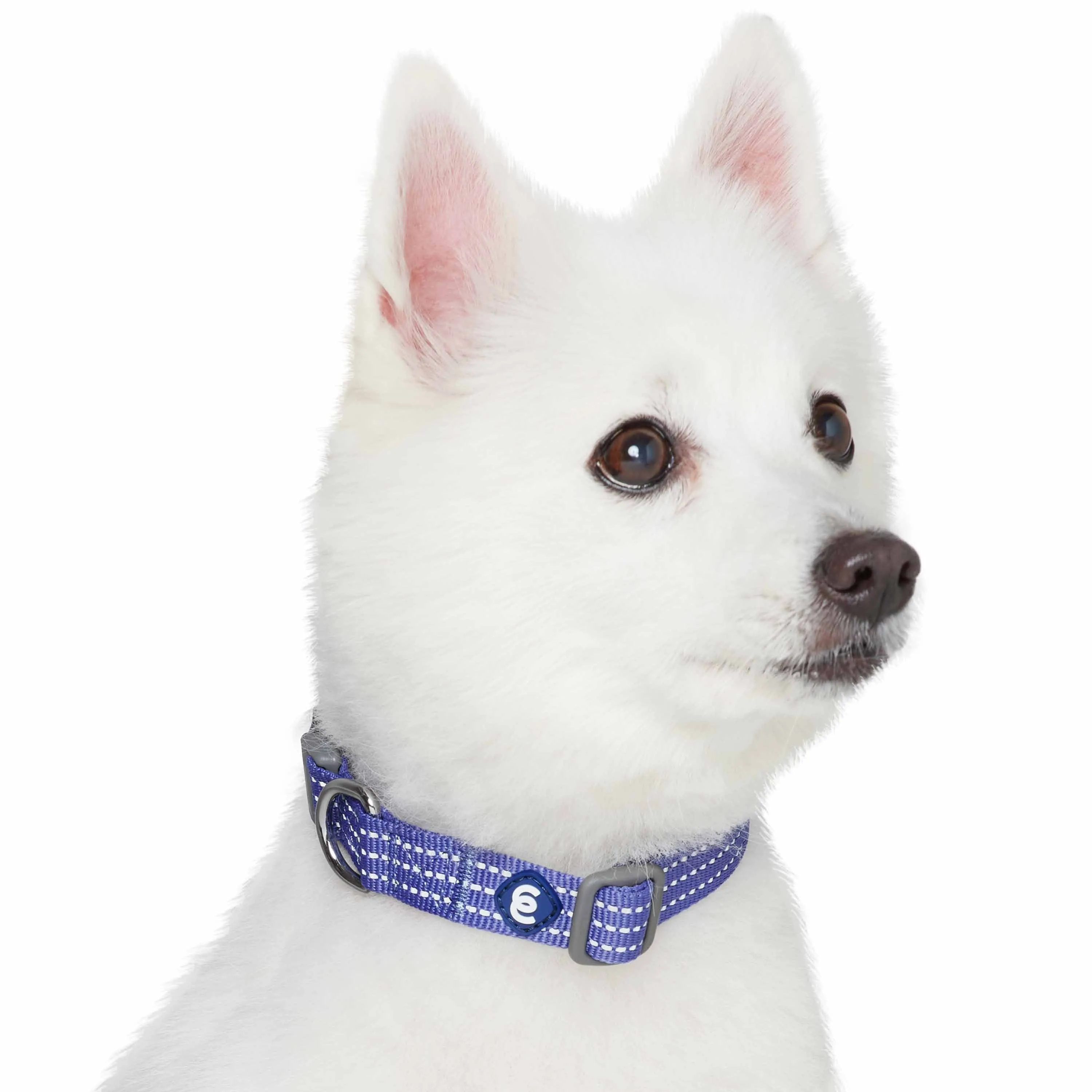 Better Basics Reflective Dog Collar