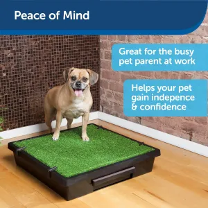 Portable Dog Potty: Small, Grass Mat